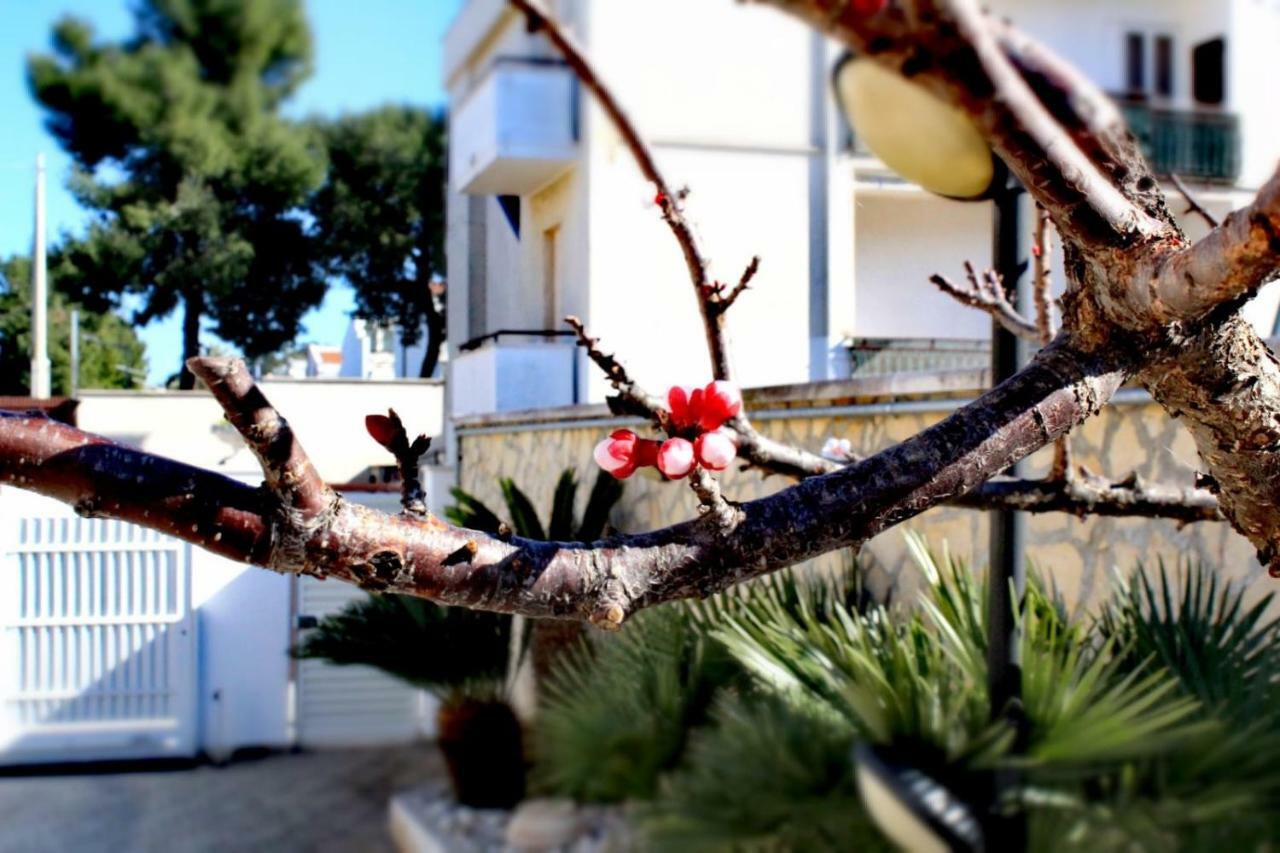 Villa Amelie Bisceglie Dış mekan fotoğraf